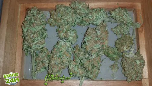 Différentes manières de consommer du cannabis Différentes manières de consommer du cannabis
