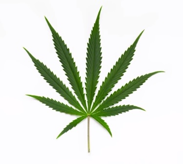 fertilisants powder feeding du green house