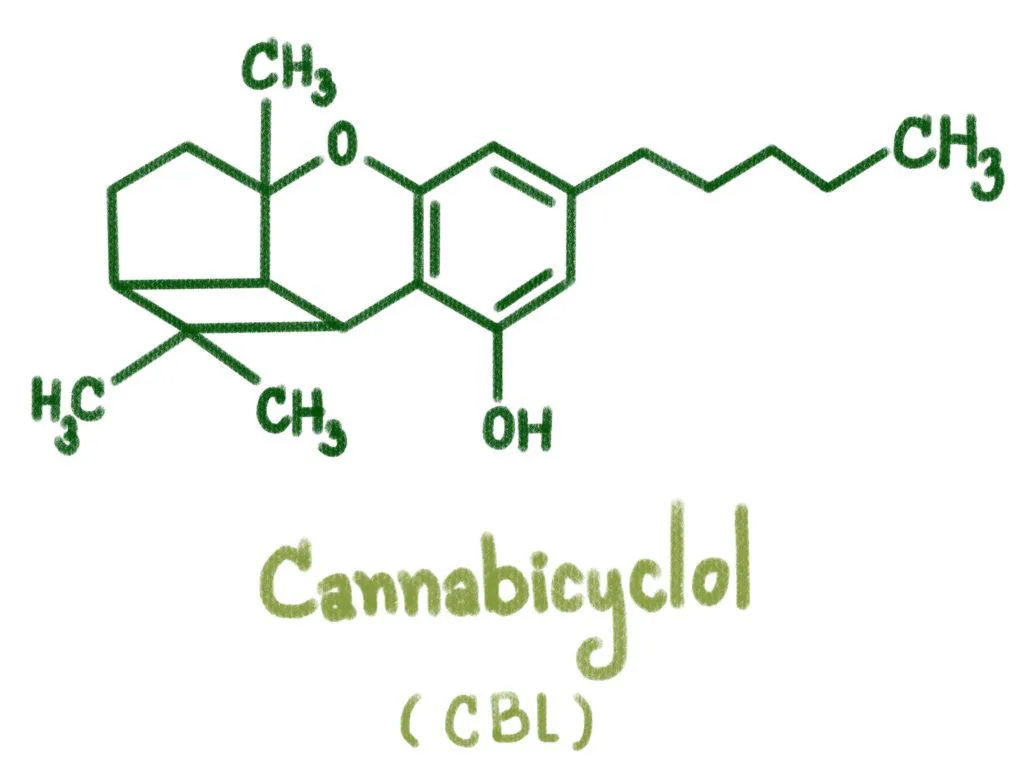 Qu’est-ce que le cannabicyclol (CBL) ? Qu’est-ce que le cannabicyclol (CBL) ?