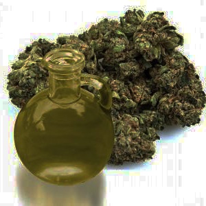 Apprenez à réaliser votre baume au cannabis photo huile et bourgeon cannabis apprenez a realiser votre baume au cannabis