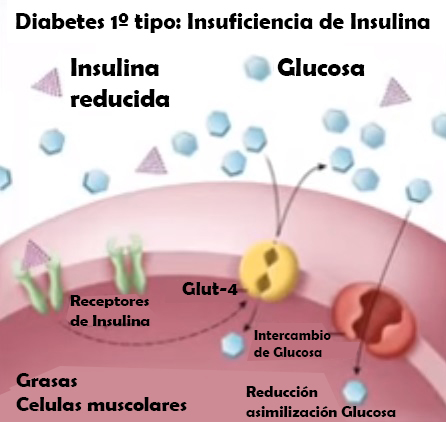 Le cannabis et le diabète