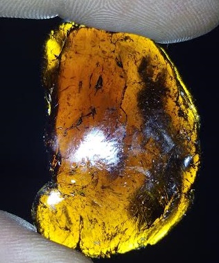 differents resultats de bho