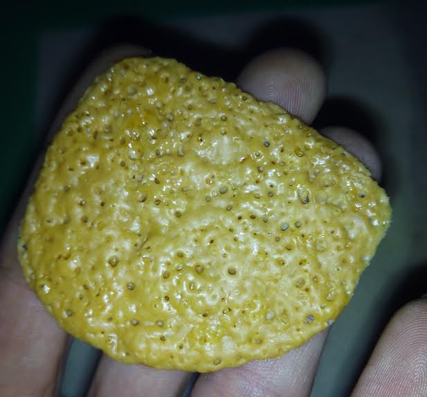 differents resultats de bho