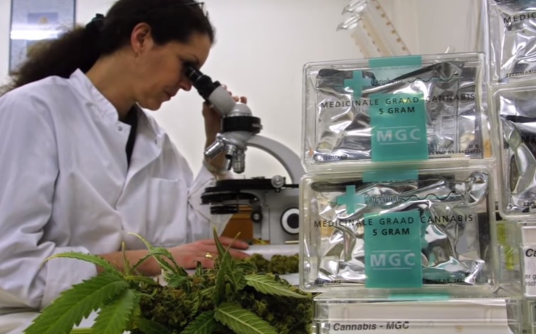 Comment le Cannabis aide à trouver le sommeil