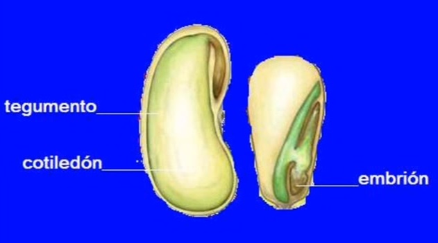 Actualités sur le cannabis