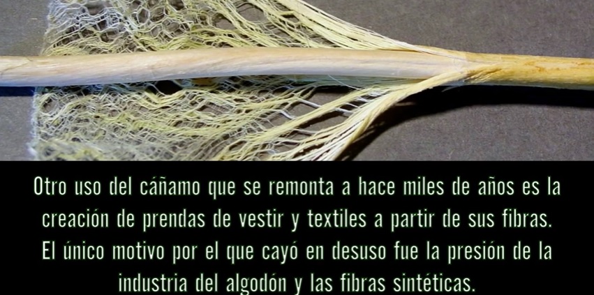 Les usages alternatifs du Cannabis
