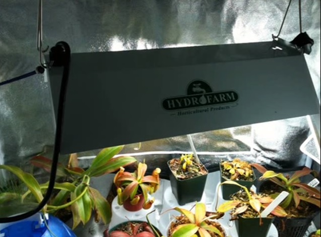Réflecteur Fluorowing 125 w