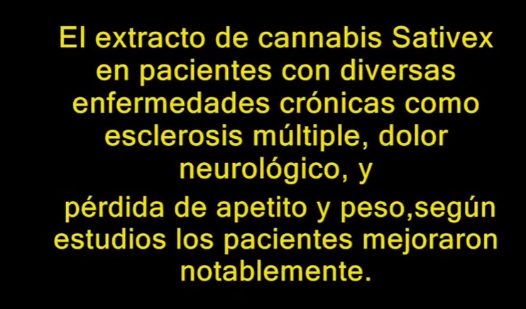 Actualités sur le cannabis