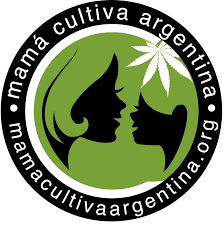 Actualités sur le cannabis