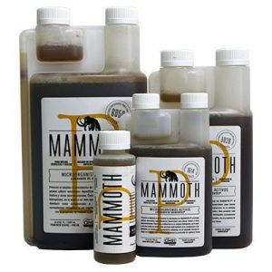 micro organisme efficace