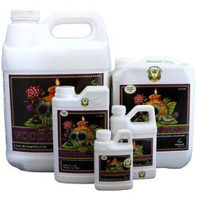 micro organisme efficace