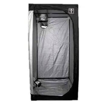 Actualités sur le cannabis