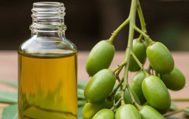 Tout savoir sur l’huile de neem pour les plantes : usages et bienfaits