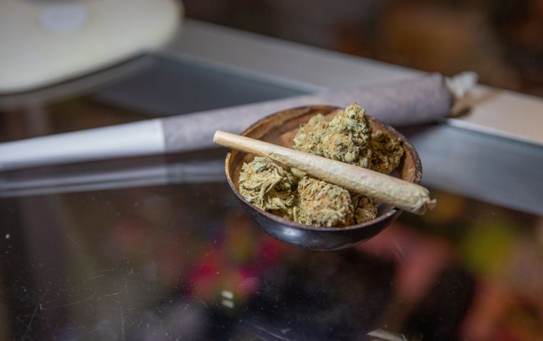 Actualités sur le cannabis