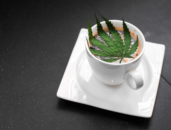 Cannabis thérapeutique