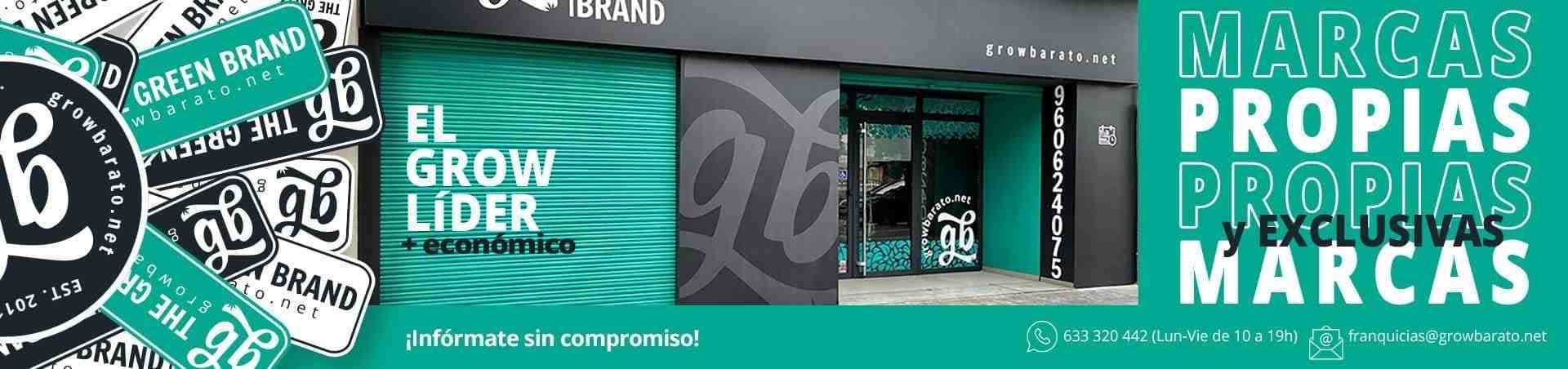 Actualités sur le cannabis