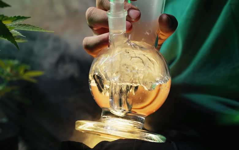 Actualités sur le cannabis