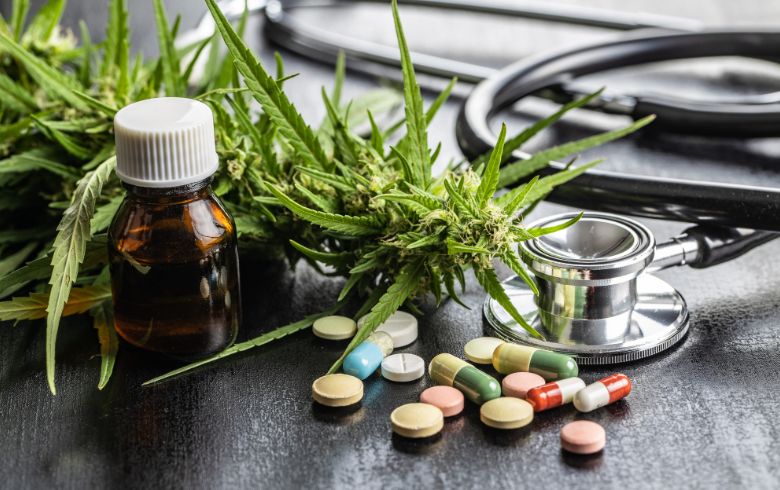 Actualités sur le cannabis Actualités sur le cannabis
