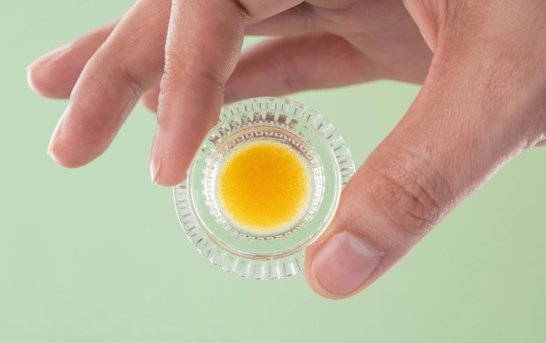 Actualités sur le cannabis