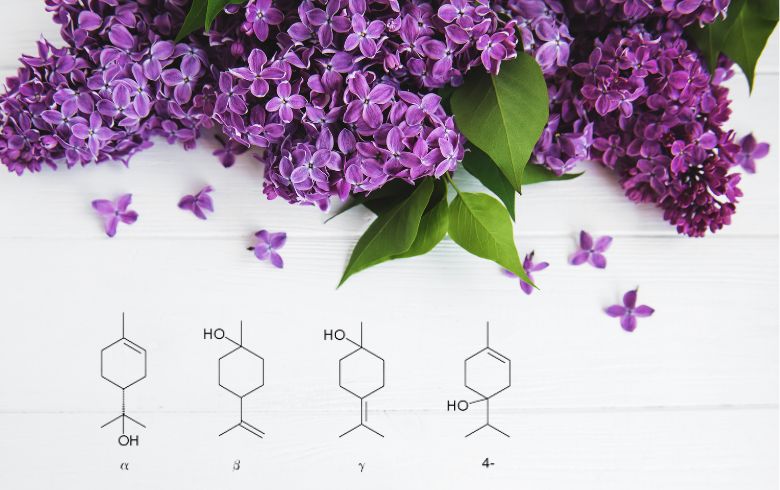 Actualités sur le cannabis