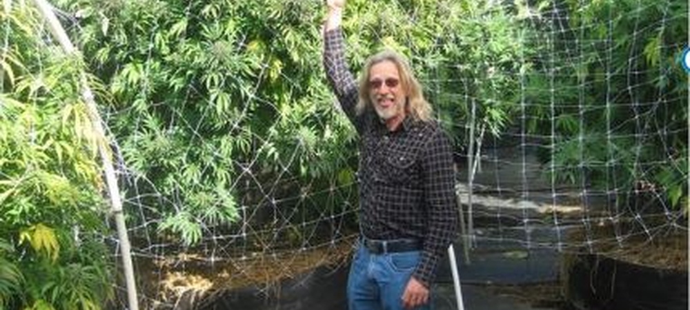 Cultivo SCROG Jorge Cervantes