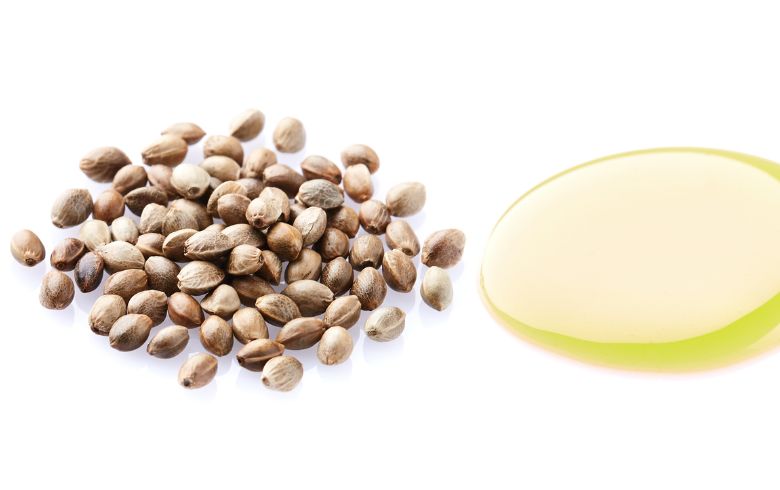 Actualités sur le cannabis