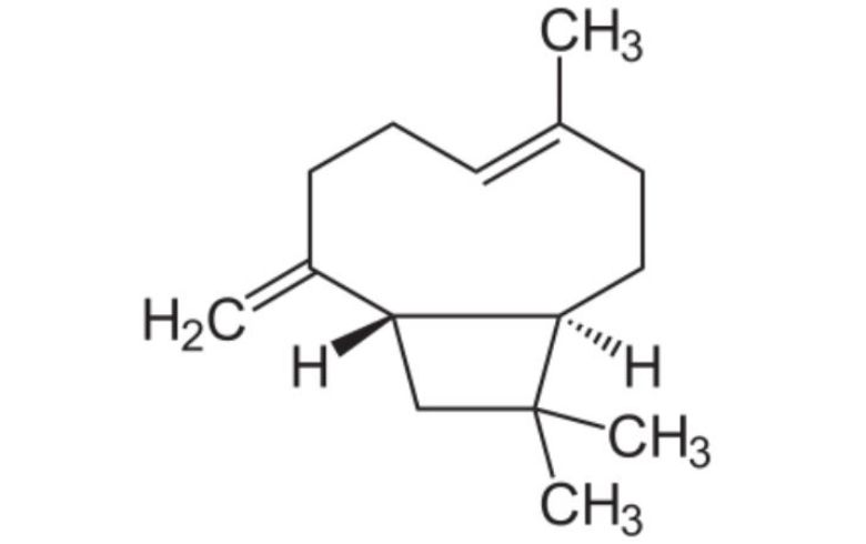 Actualités sur le cannabis