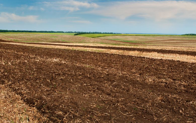 Actualités sur le cannabis