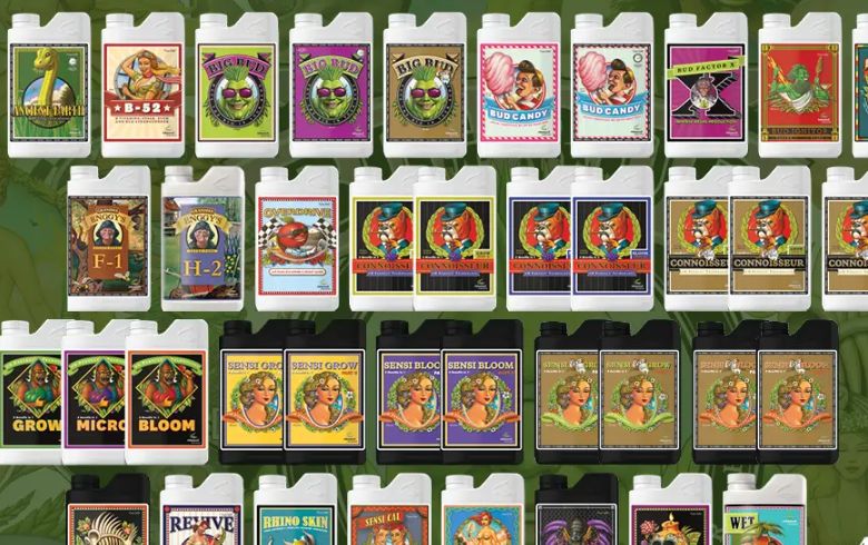 Actualités sur le cannabis