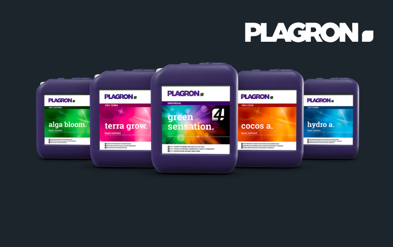 Actualités sur le cannabis