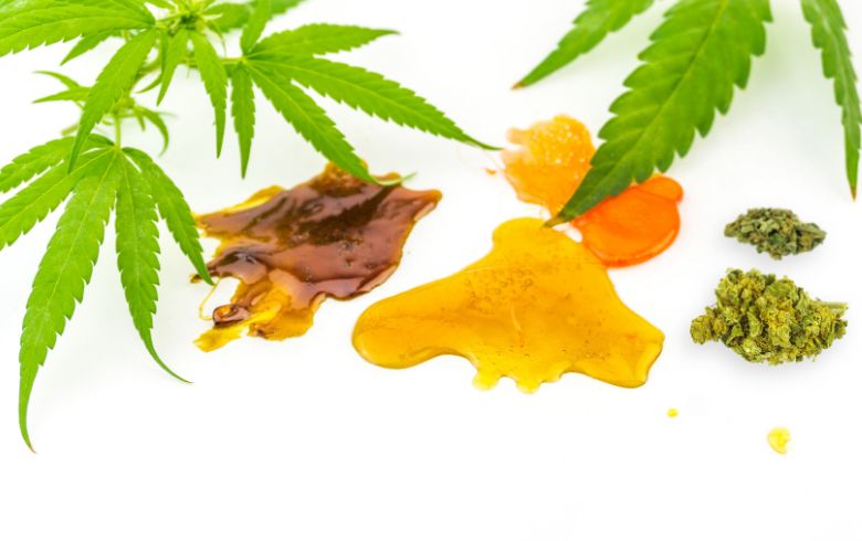 Actualités sur le cannabis