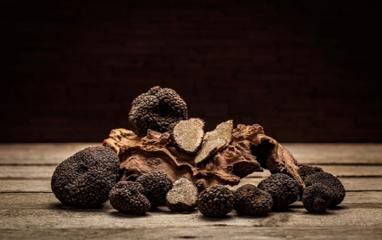 Actualités sur le cannabis