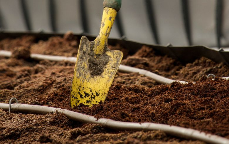 Comment éliminer les champignons du terreau des plantes ?