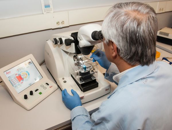 Quelle est la différence entre génotype et phénotype ?