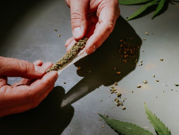 Addiction au cannabis : vrai ou faux ? Addiction au cannabis : vrai ou faux ?