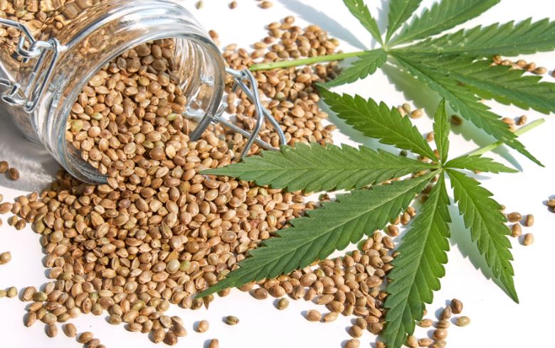 Les 10 meilleures graines autofloraison