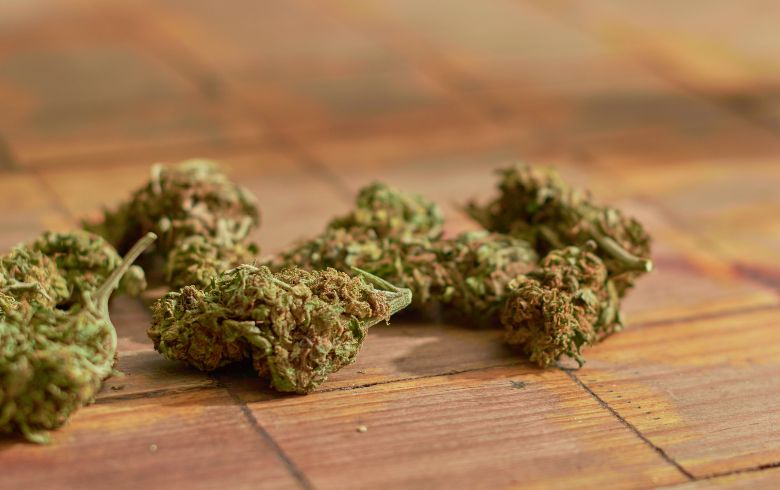 Comment savoir si votre marijuana est de bonne qualité