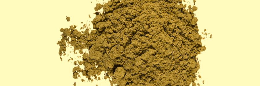 Kief : définition, extraction et effets