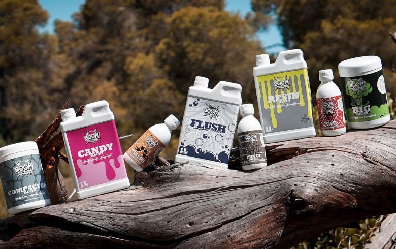 Actualités sur le cannabis