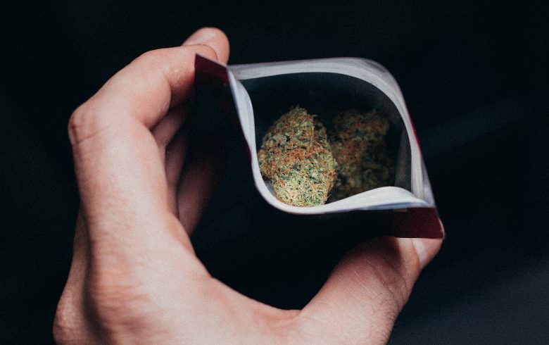 Actualités sur le cannabis