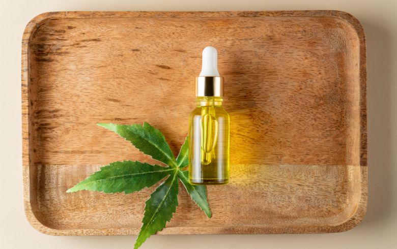 Actualités sur le cannabis