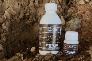 Fungi Boom fungi boom