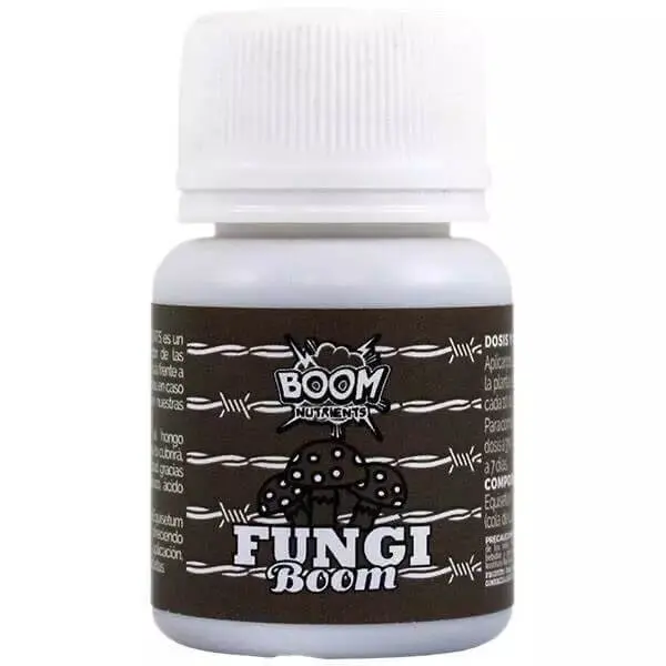 Fungi Boom Fungi Boom