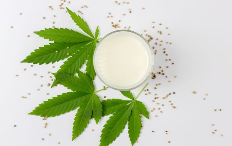 Lait au cannabis