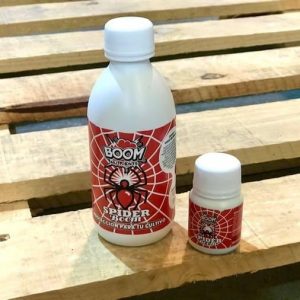 Spider Boom spider boom