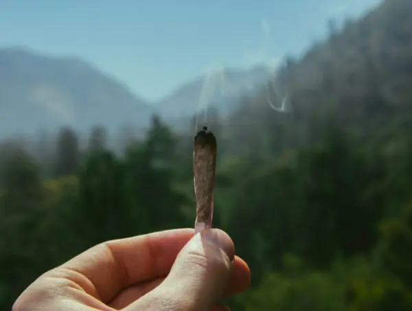 addiction au cannabis addiction au cannabis