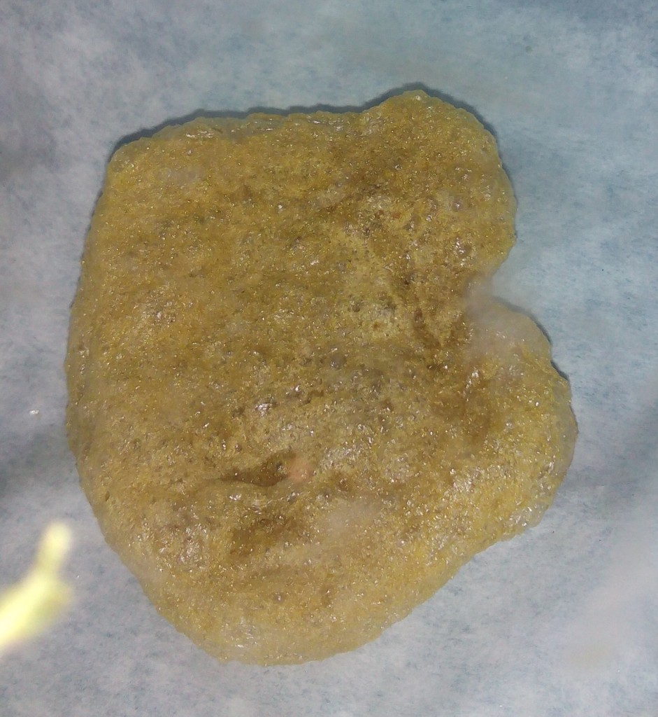 differents resultats de bho