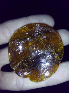 differents resultats de bho