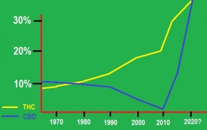 La puissance du cannabis augmente