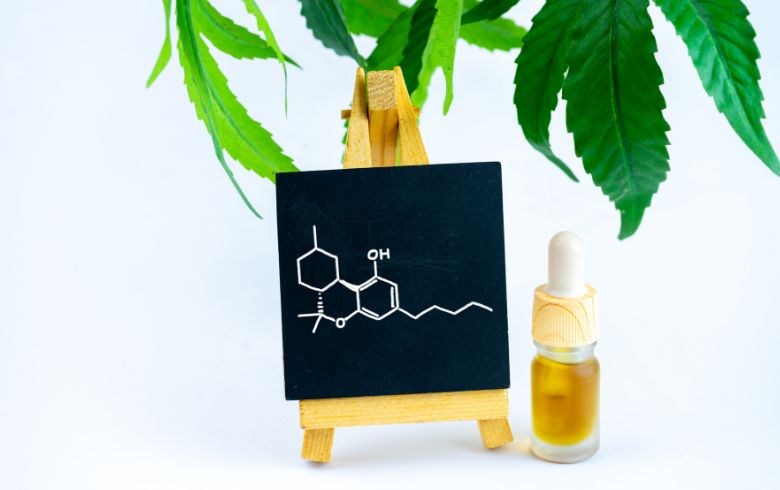 Actualités sur le cannabis